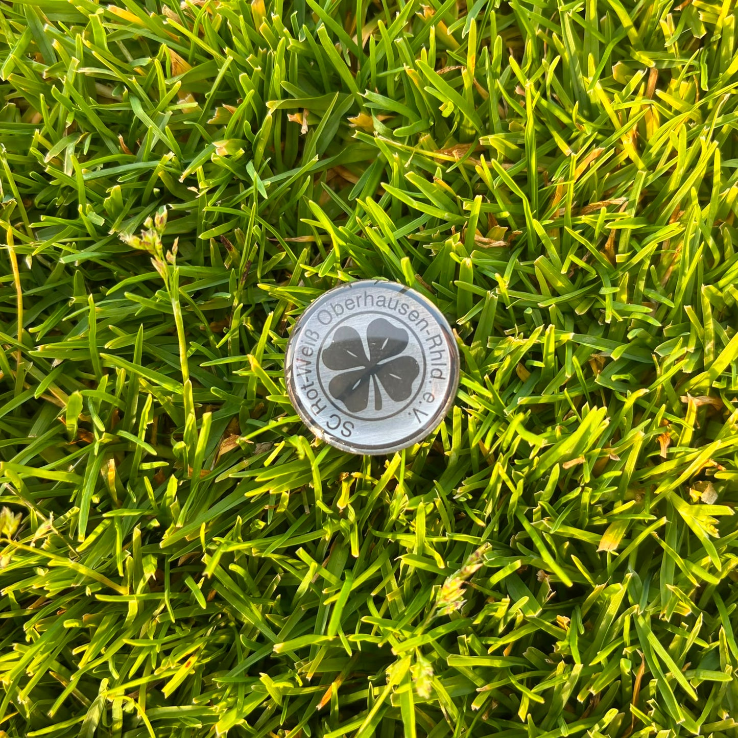 Pin „Logo"